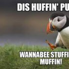 muffinpuffin